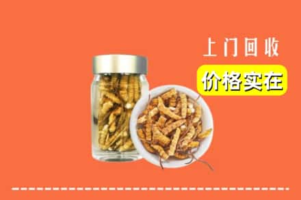 三台县回收散虫草
