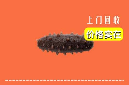 三台县回收海参