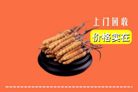 诚信求购:三台县高价回收冬虫夏草
