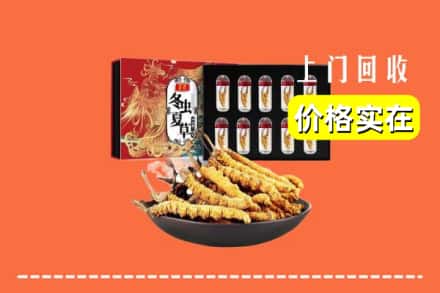 三台县回收虫草